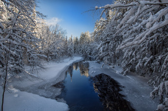 Картинка природа зима снег