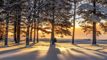 Картинка природа зима снег