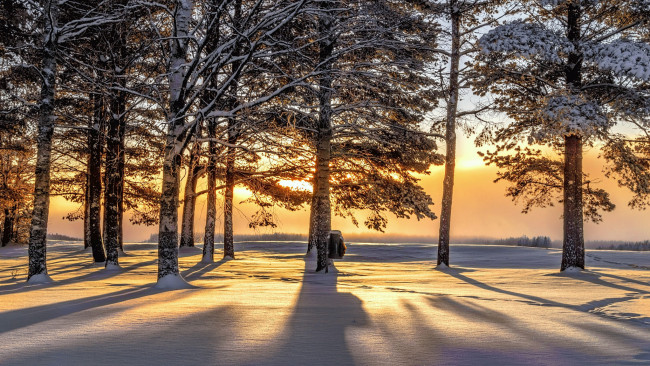 Обои картинки фото природа, зима, снег