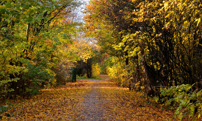 Обои картинки фото природа, дороги, тракт