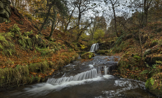 Обои картинки фото природа, водопады, водопад, река, лес