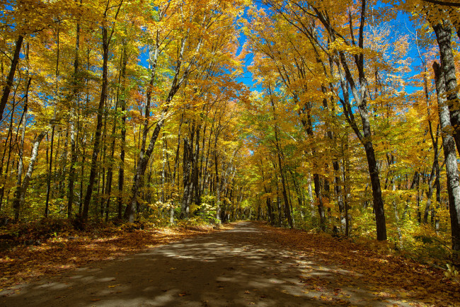 Обои картинки фото природа, дороги, тракт