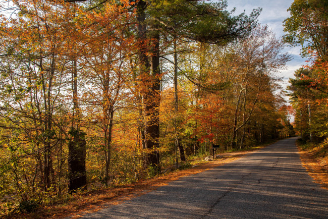 Обои картинки фото природа, дороги, тракт