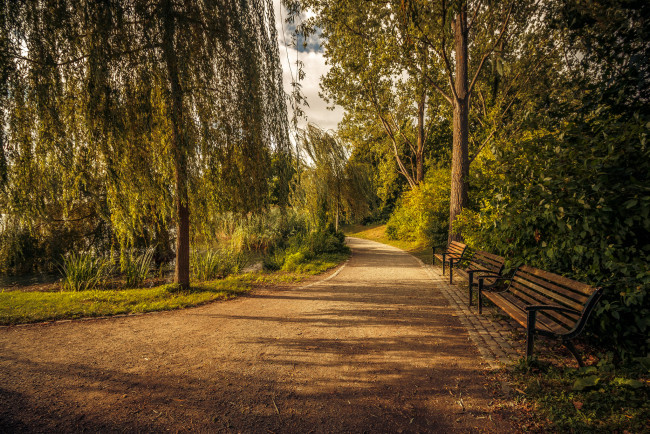 Обои картинки фото природа, дороги, тракт