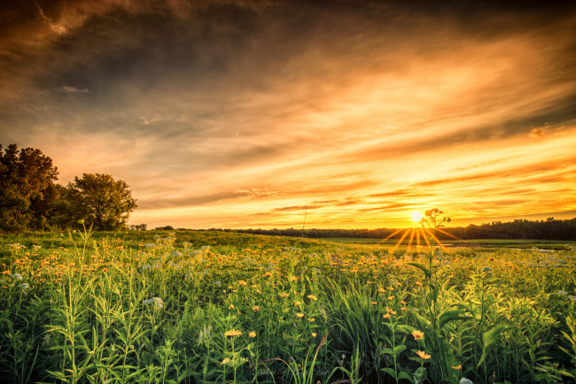 Обои картинки фото природа, восходы, закаты, рассвет