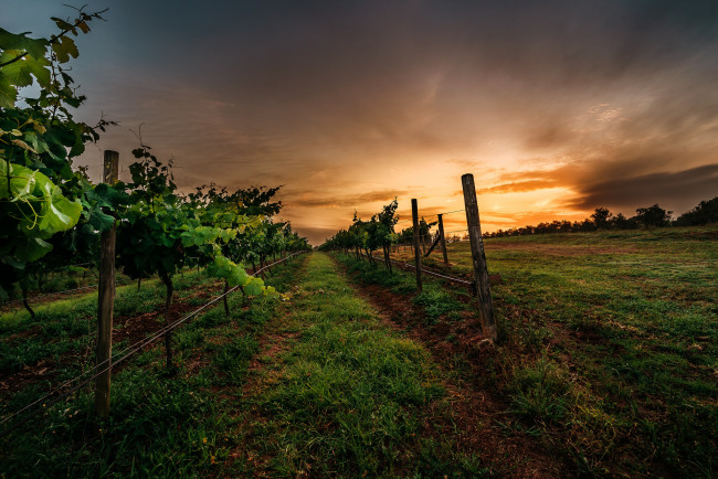 Обои картинки фото природа, восходы, закаты, рассвет