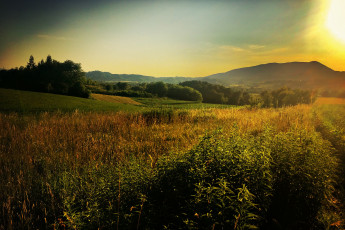 Картинка природа пейзажи простор