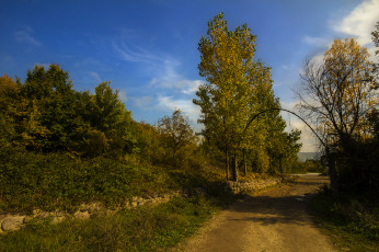 Картинка природа дороги простор