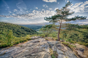 Картинка природа пейзажи простор