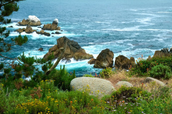 Картинка природа побережье простор