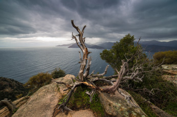 Картинка природа побережье простор