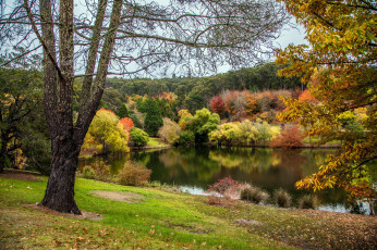 Картинка природа реки озера осень река отражение