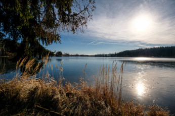 Картинка природа реки озера простор