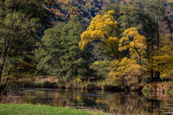 Картинка природа реки озера простор