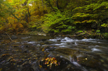 Картинка природа реки озера простор