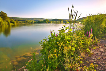 Картинка природа реки озера простор