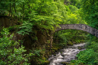 Картинка природа реки озера простор