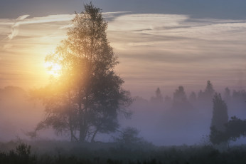 Картинка природа восходы закаты простор