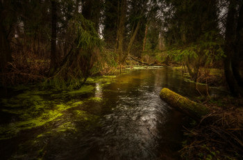 Картинка природа реки озера простор