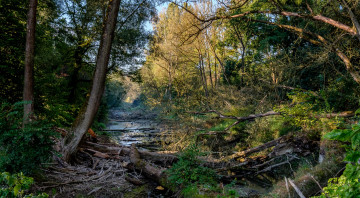 Картинка природа реки озера простор