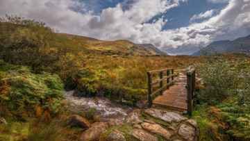 Картинка природа пейзажи простор