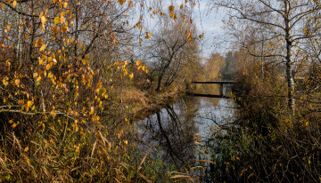 Картинка природа реки озера простор