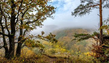 Картинка природа пейзажи простор