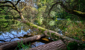 Картинка природа реки озера простор