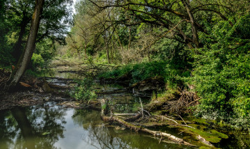 Картинка природа реки озера простор