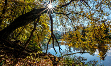 Картинка природа реки озера простор