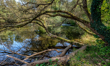 Картинка природа реки озера простор