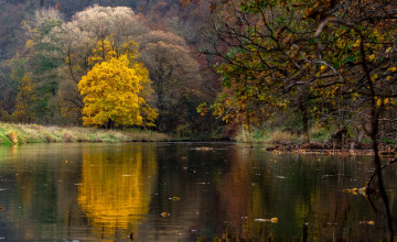 Картинка природа реки озера простор