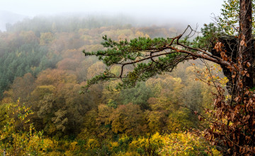 Картинка природа пейзажи простор