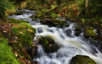 Картинка природа реки озера простор