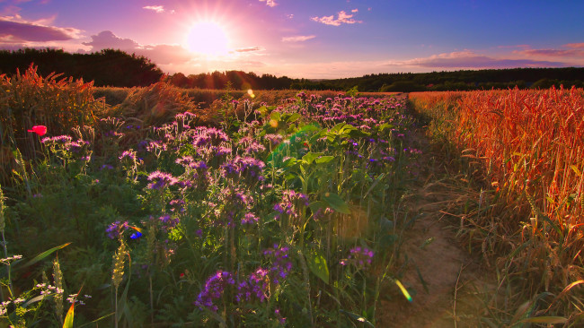 Обои картинки фото природа, восходы, закаты, простор