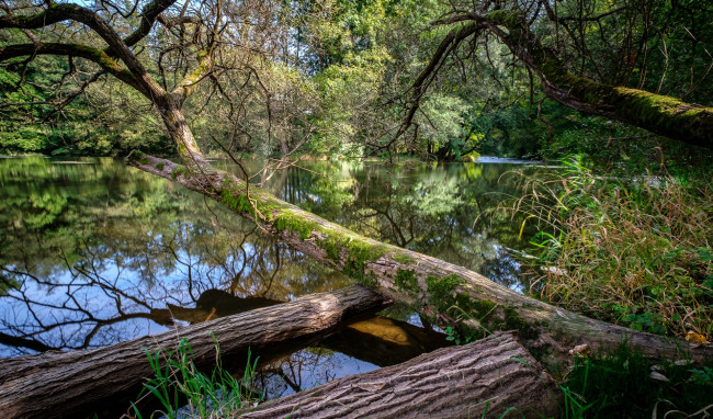 Обои картинки фото природа, реки, озера, простор