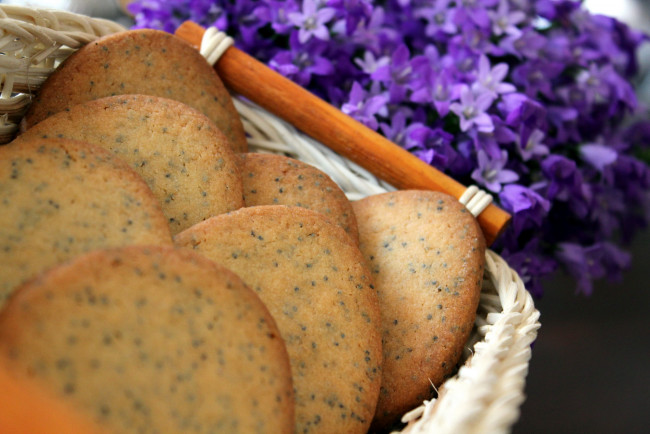 Обои картинки фото еда, пирожные,  кексы,  печенье, печенье