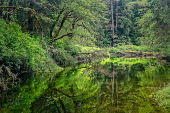 Картинка природа реки озера простор