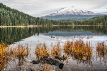 Картинка природа реки озера простор