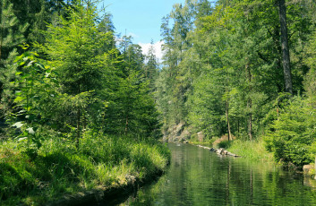 Картинка природа реки озера простор