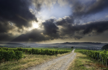 Картинка природа дороги простор