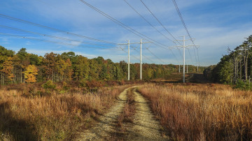 Картинка природа дороги простор