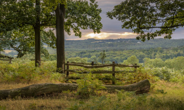 Картинка природа пейзажи простор