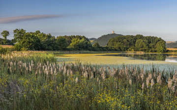 Картинка природа реки озера простор