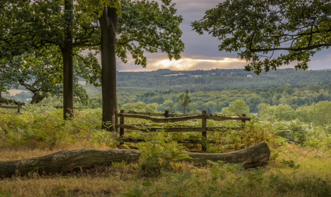 Обои картинки фото природа, пейзажи, простор