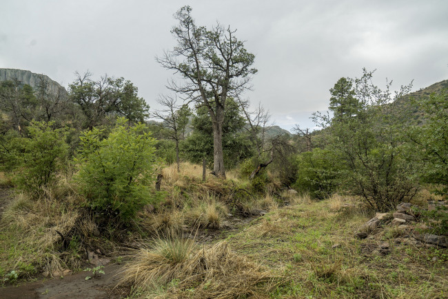 Обои картинки фото природа, пейзажи, простор