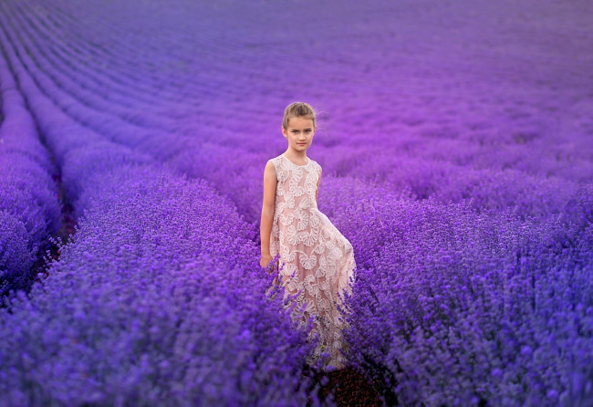 Обои картинки фото разное, дети, девочка, платье, поле, лаванда