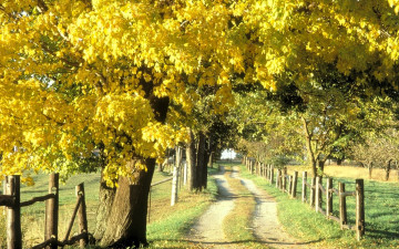 обоя природа, дороги, поля, деревья, осень, забор, дорога