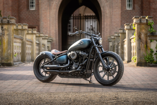 Обои картинки фото мотоциклы, harley-davidson, softail, street, bob, 114, customized, custombikes, blue, lion