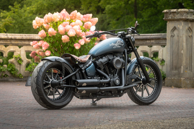 Обои картинки фото мотоциклы, harley-davidson, softail, street, bob, 114, customized, custombikes, blue, lion